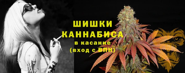 ECSTASY Вязники